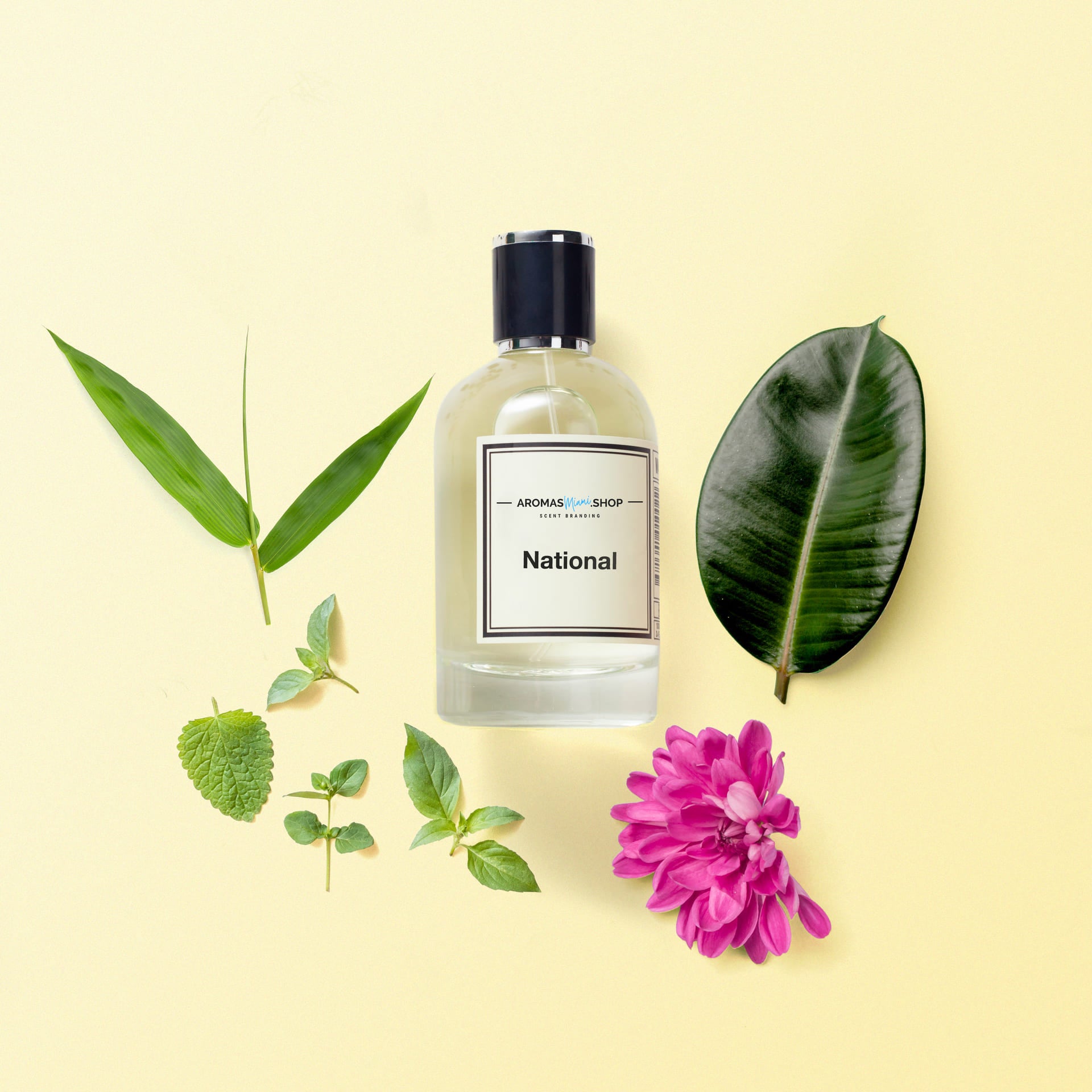 AromasMiami.shop National Fragrance Oil, Scent, Diffusers, Oils, Scent Marketing, Reed Diffusers, Aromas Miami, Fragrance, Home Decor, Aromatherapy, Essential Oils