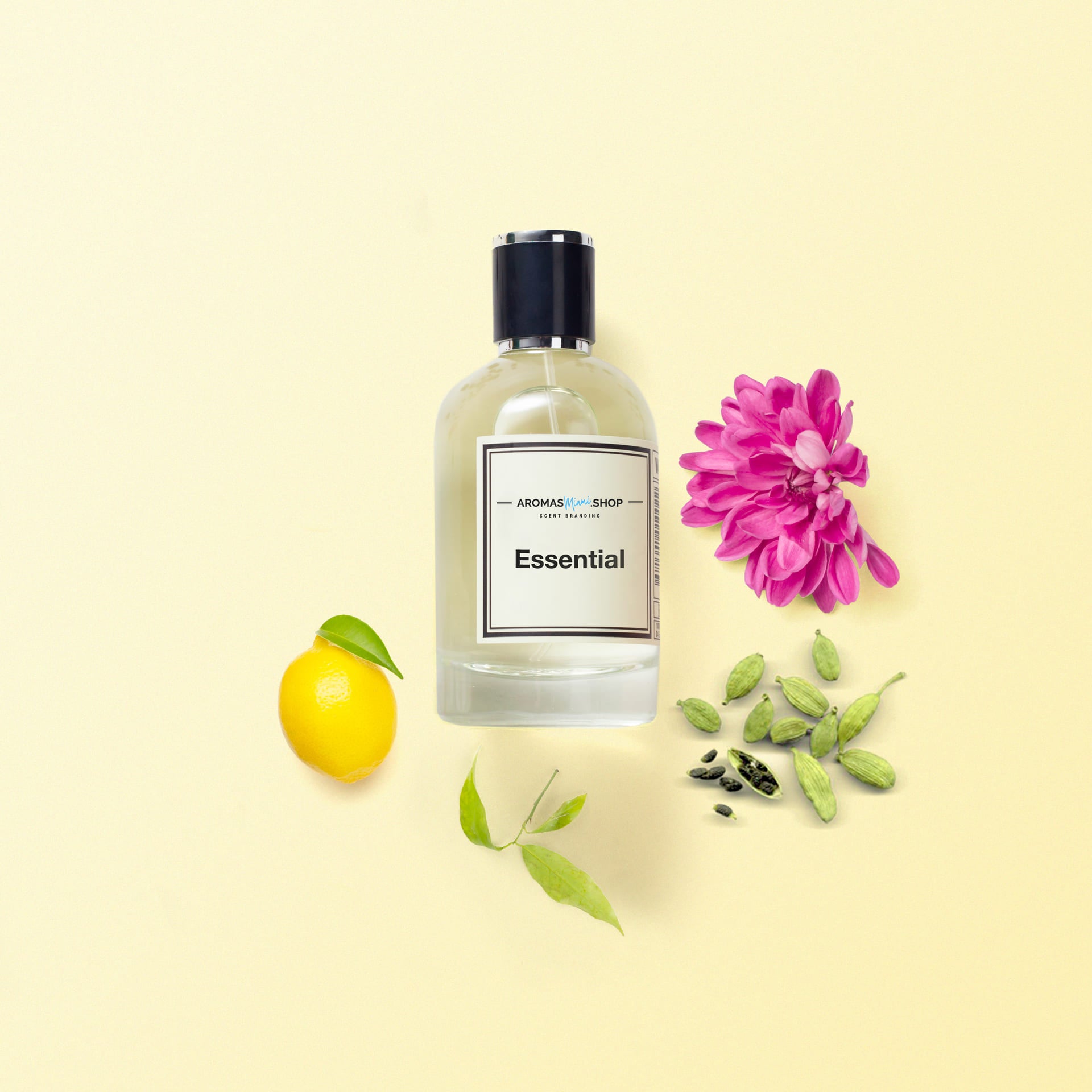 AromasMiami.shop Essential Fragrance Oil, Scent, Diffusers, Oils, Scent Marketing, Reed Diffusers, Aromas Miami, Fragrance, Home Decor, Aromatherapy, Essential Oils